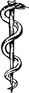 Rod_of_Asclepius2