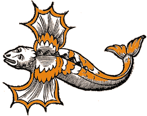 Golden Children flyingfish