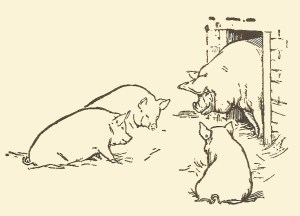 Three Little Pigs jacobs