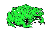 Frog-program green