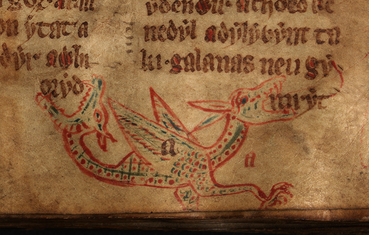 wyvern