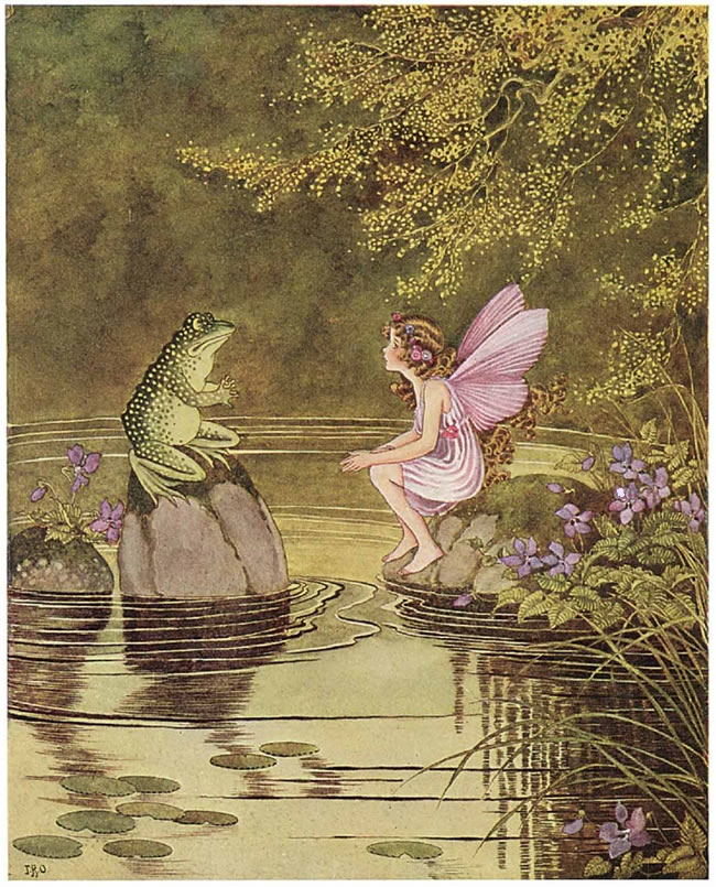 Seahare fairy and frog