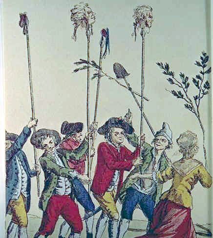 Seahare image two
