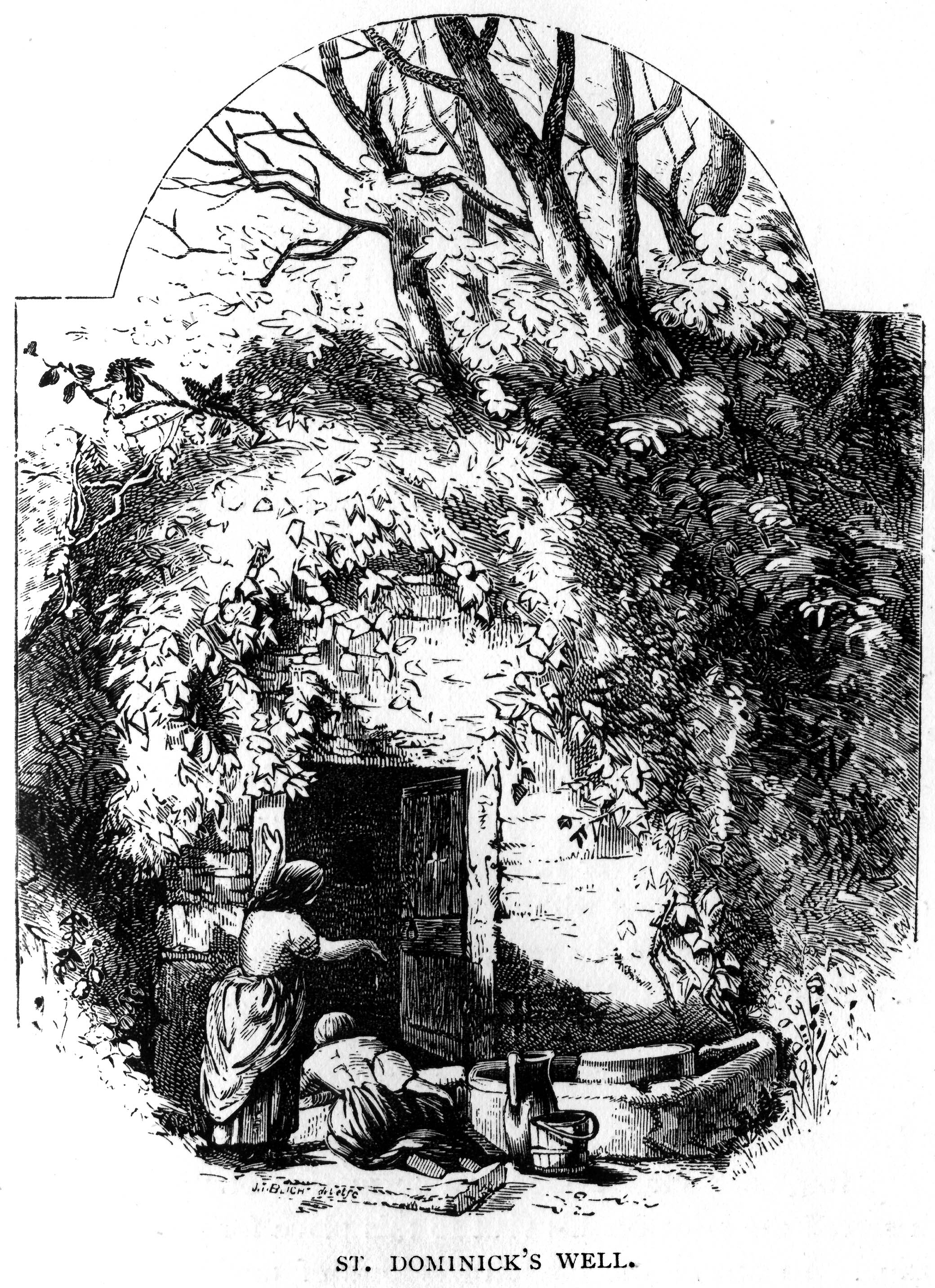 Healing wells six doninicks