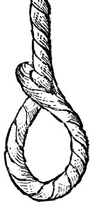 Prince in a swoon noose