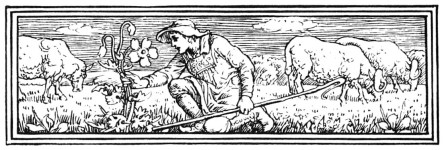 Sweetheart Roland three